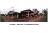 ที่ดินพร้อมสิ่งปลูกสร้างหลุดจำนอง ธ.ธนาคารออมสิน อุบลราชธานี วารินชำราบ เมืองศรีไค