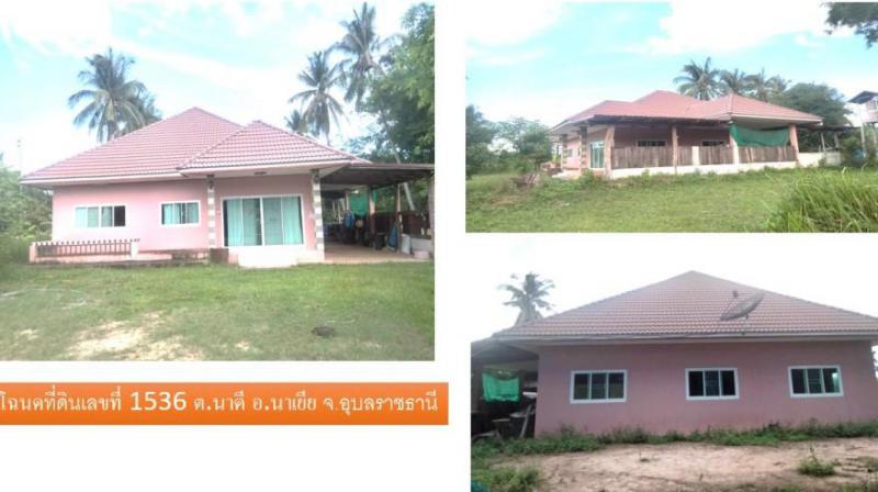 บ้านเดี่ยวหลุดจำนอง ธ.ธนาคารอาคารสงเคราะห์ อุบลราชธานี  นาดี