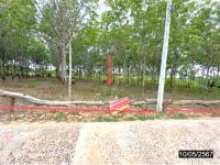 ที่ดินว่างเปล่าหลุดจำนอง ธ.ธนาคารกสิกรไทย อุบลราชธานี ตระการพืชผล คอนสาย