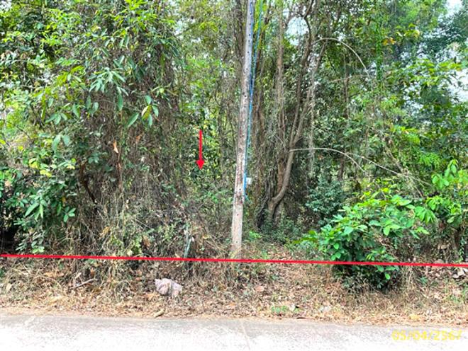 ที่ดินว่างเปล่าหลุดจำนอง ธ.ธนาคารกสิกรไทย อุบลราชธานี พิบูลมังสาหาร โพธิ์ศรี